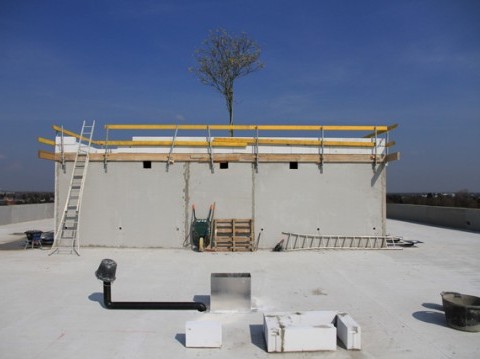 PROJECT UPDATE - IOK Geel (B)