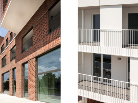 PROJECT UPDATE - De Gheelodroom, Geel (B) 